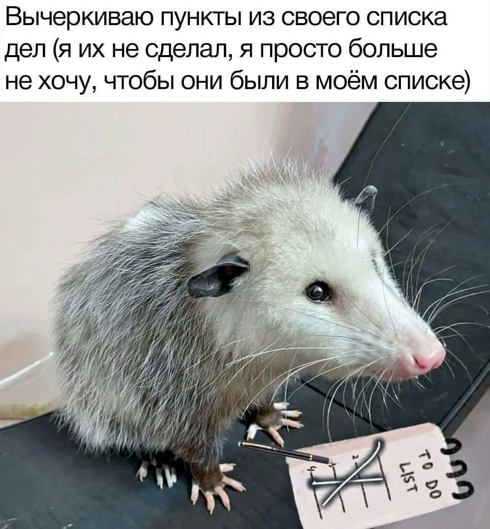 Как все успевать, если ты не супергерой | Сетка — социальная сеть от hh.ru