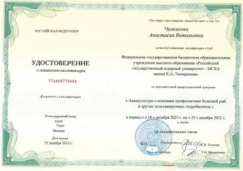 Анастасия Чижикова