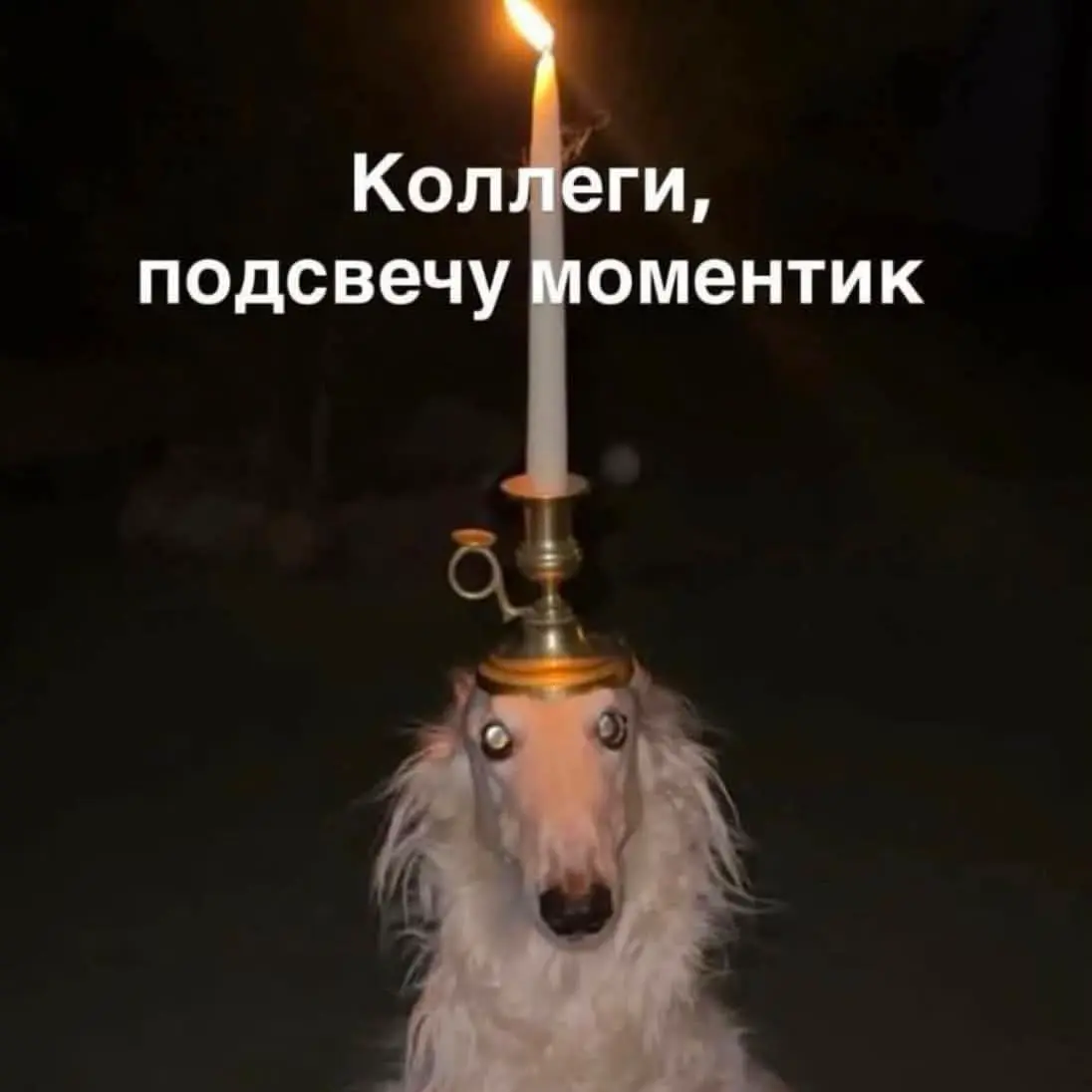 Борис! | Сетка — социальная сеть от hh.ru