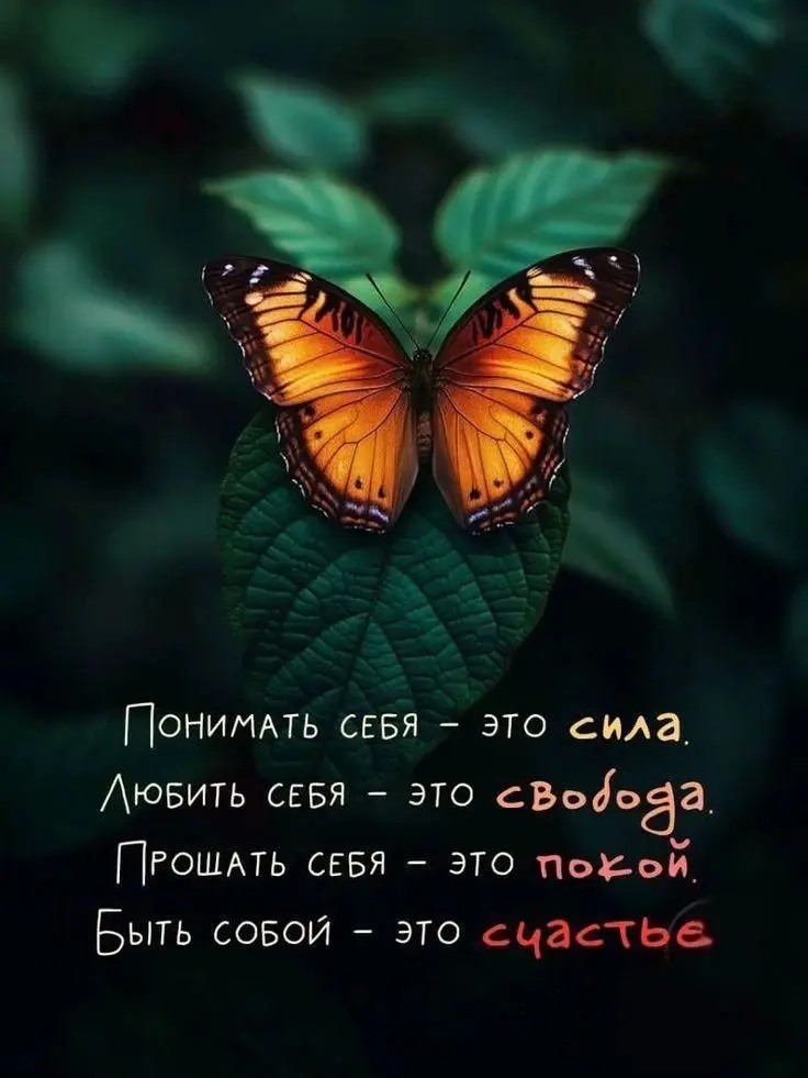 Быть собой | Сетка — социальная сеть от hh.ru