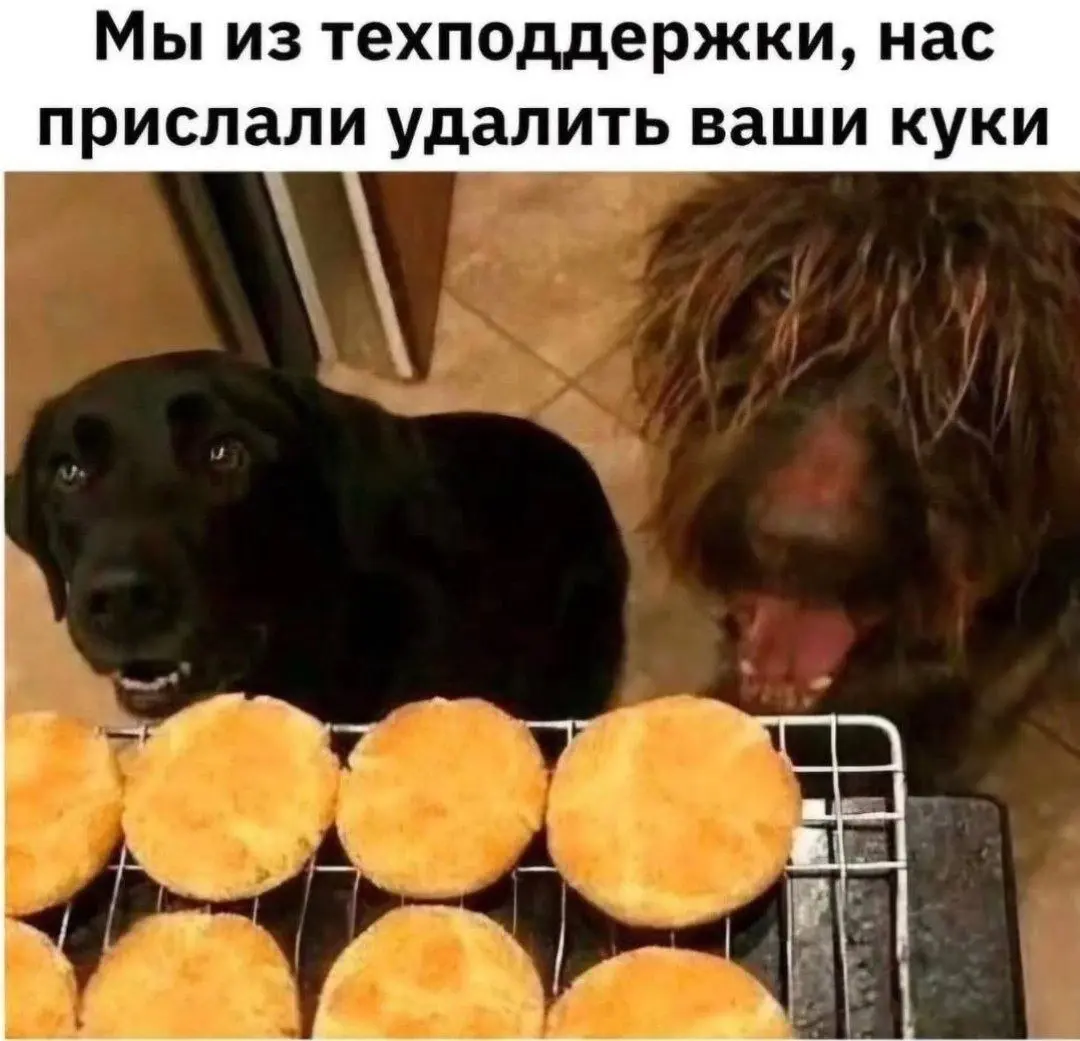 📢 пакет по итэ 🛍 Другие каналы
В этом посте были ссылки, но мы их удалили по правилам Сетки | Сетка — социальная сеть от hh.ru
