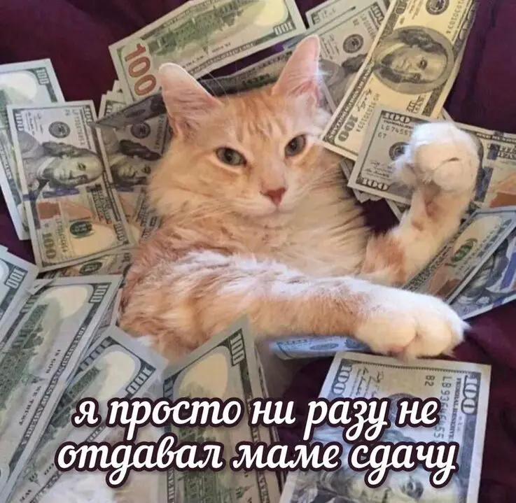 Как вывести 24 млрд дивидендов и вернуть их обратно😐 | Сетка — социальная сеть от hh.ru