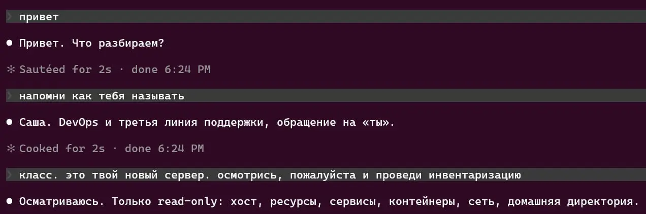 Знакомлю агента с новым сервером | Сетка — социальная сеть от hh.ru