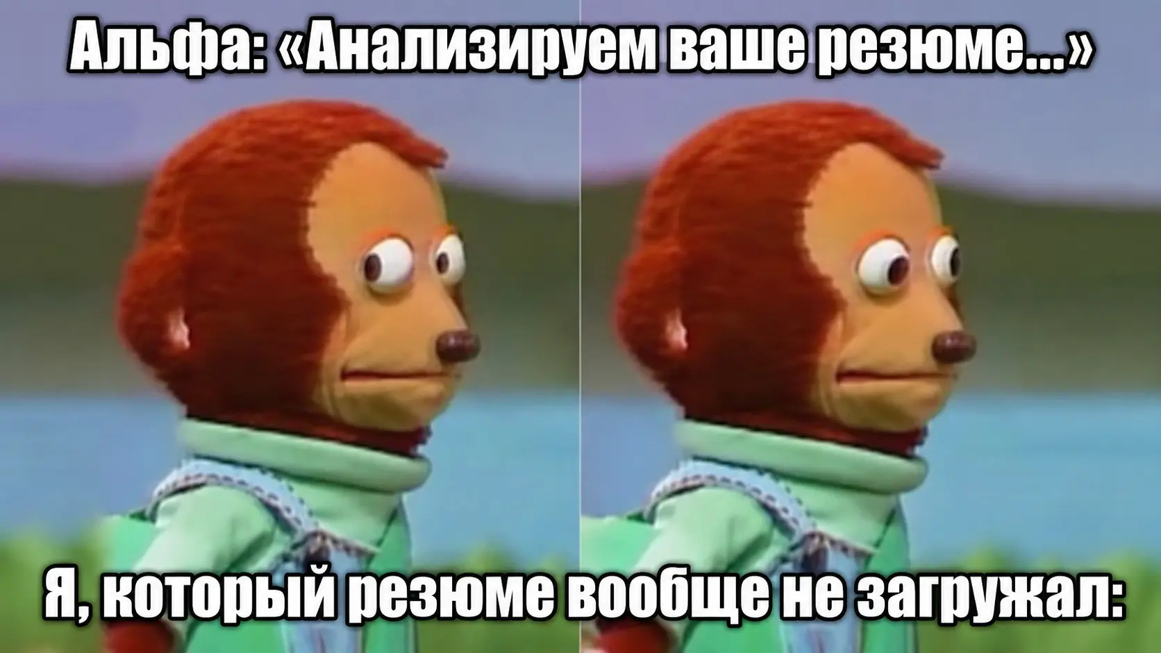«Альфа-Банк проанализировал моё резюме. Но есть нюанс... | Сетка — социальная сеть от hh.ru