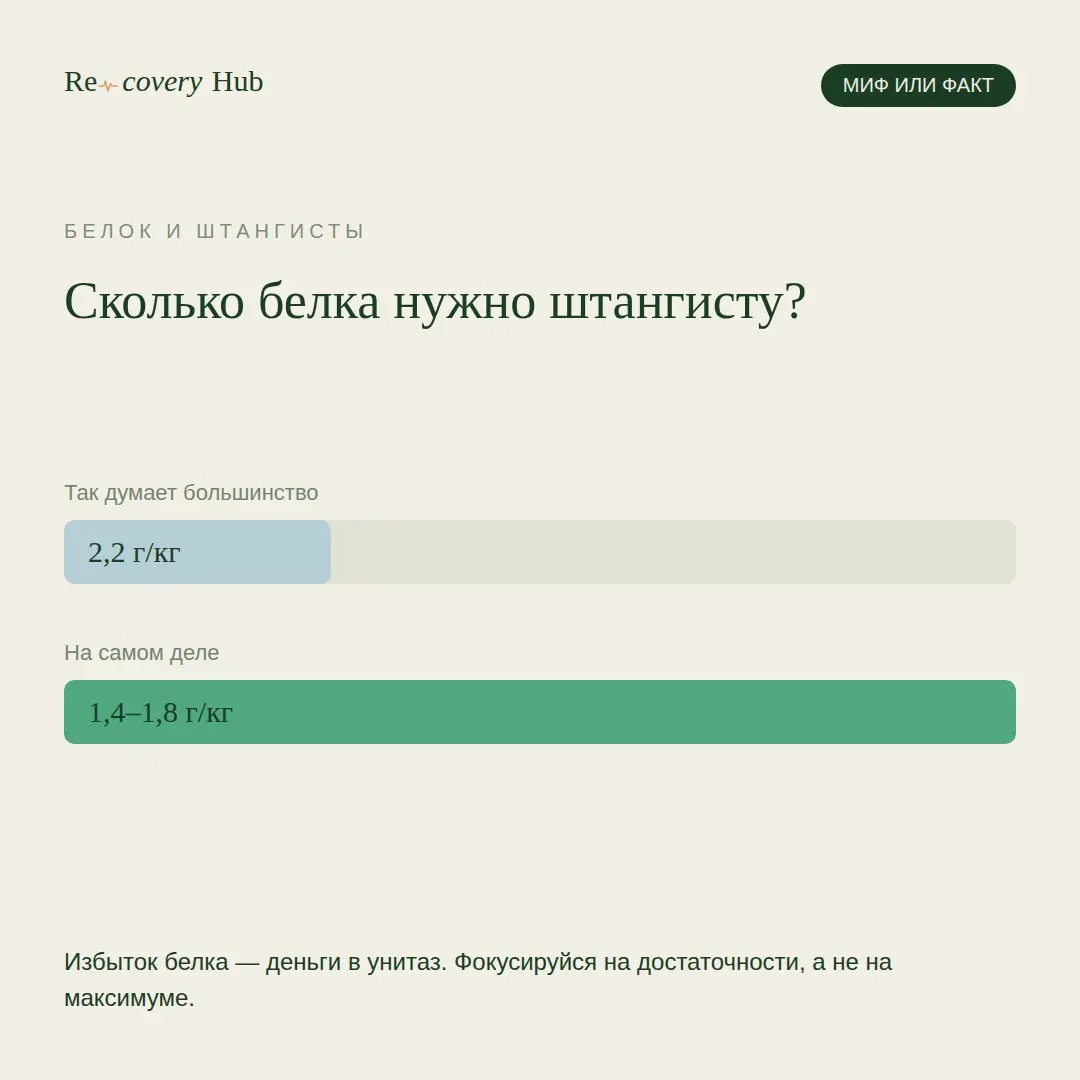 В тяжелой атлетике популярна цифра — 2,2 грамма белка на килограмм веса. Звучит научно, правда? Но тут подвох | Сетка — социальная сеть от hh.ru