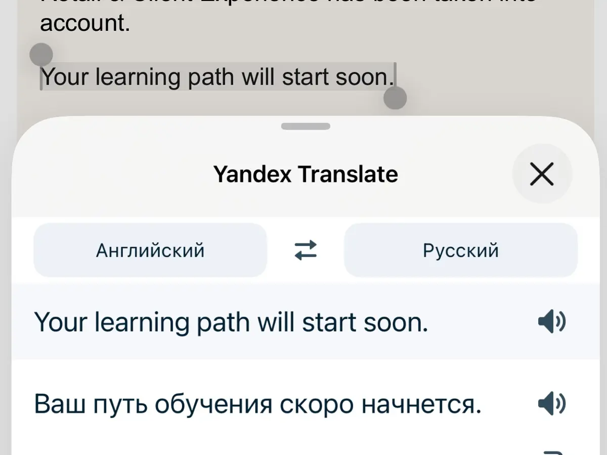 2 месяца учебы🥳 | Сетка — социальная сеть от hh.ru