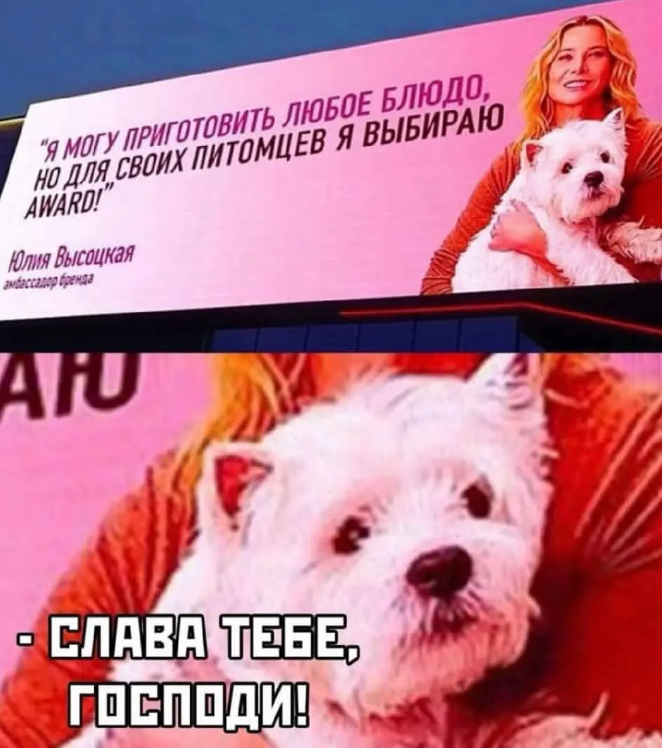 Поймут, наверное, не все, но всё же😂 | Сетка — социальная сеть от hh.ru
