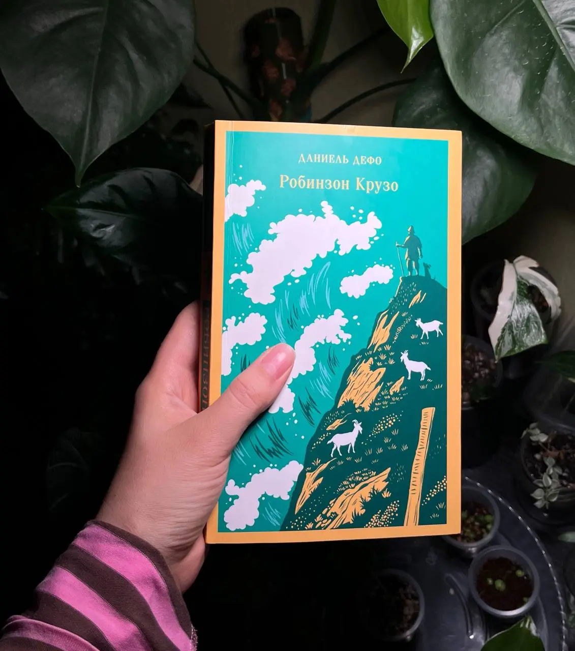 Перечитала в очередной раз любимую книгу своего детства «Робинзон Крузо»
Это книга на фото - уже новый экземпляр на моей полке. А старый, зачитанный до дыр, хранится в квартире у родителей | Сетка — социальная сеть от hh.ru