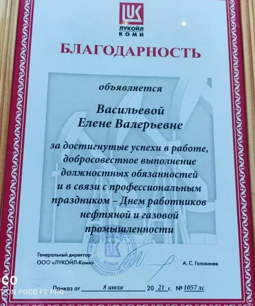 Елена Васильева