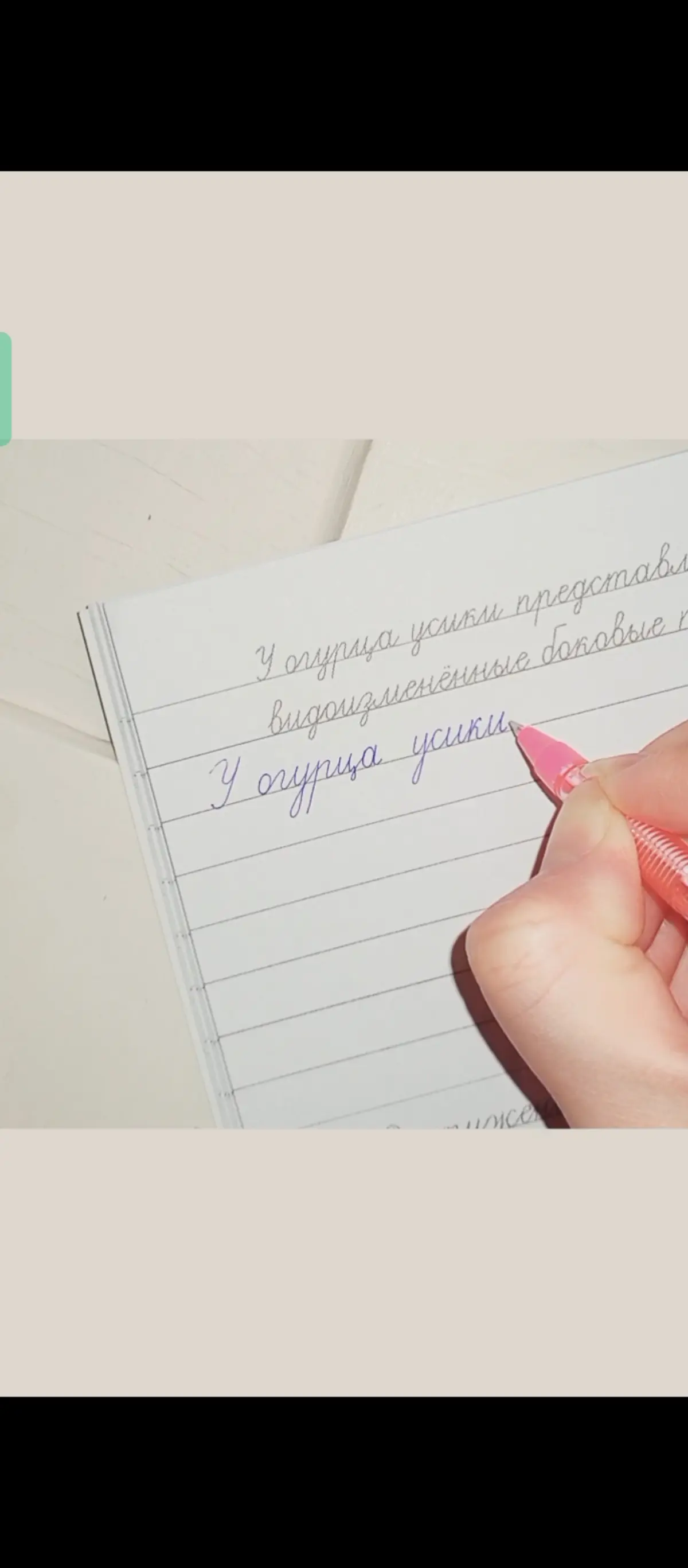 Любимая ручка, замечательные прописи и тренировка почерка 🖋 | Сетка — социальная сеть от hh.ru
