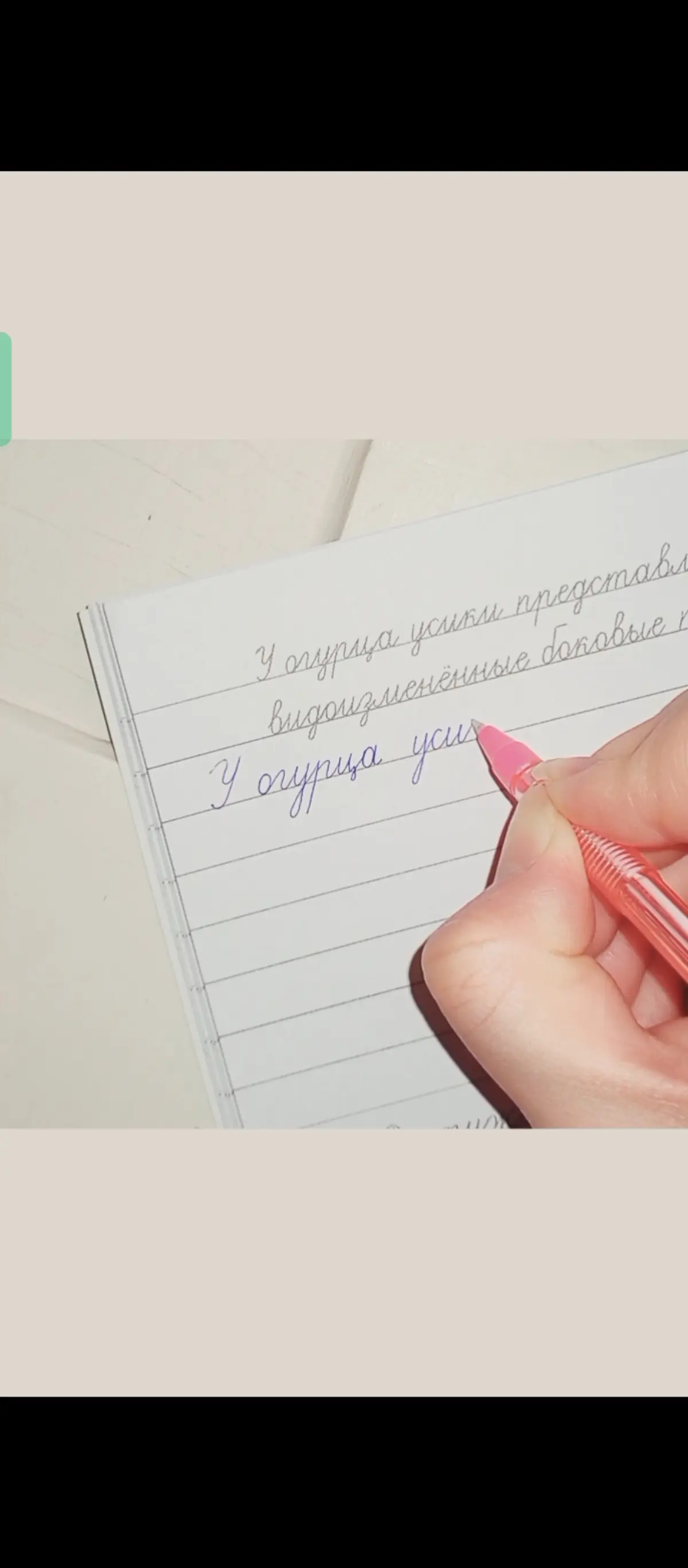 Любимая ручка, замечательные прописи и тренировка почерка 🖋 | Сетка — социальная сеть от hh.ru