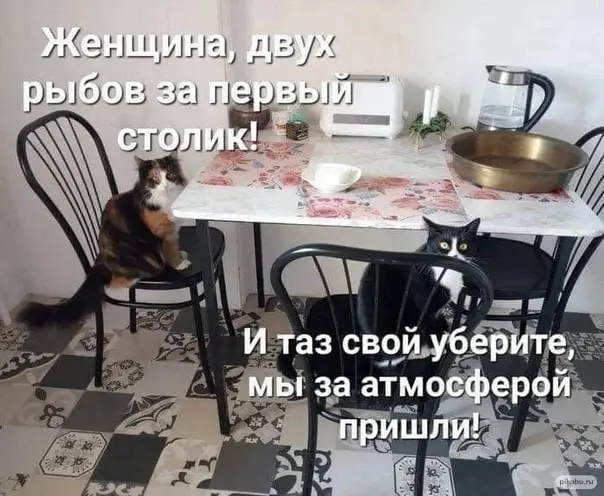 За атмосферой 😂
БЛОГ В ТГ / БЛОГ В MAX
#Юмор #Коты
В этом посте были ссылки, но мы их удалили по правилам Сетки | Сетка — социальная сеть от hh.ru