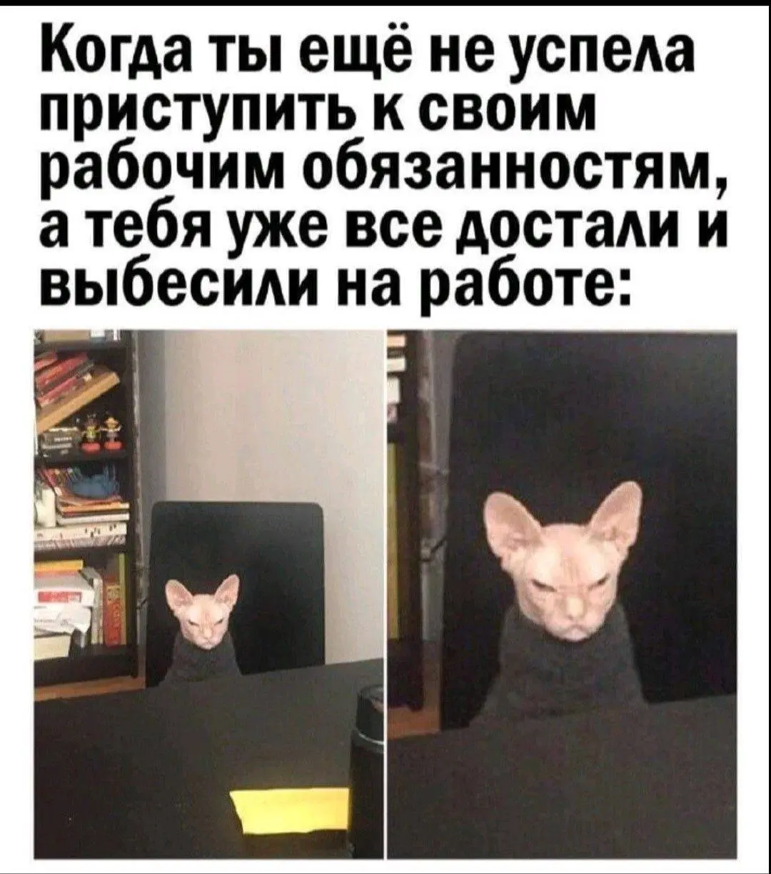 А в нашей подборке вакансий раздражающей работы нет😁 | Сетка — социальная сеть от hh.ru