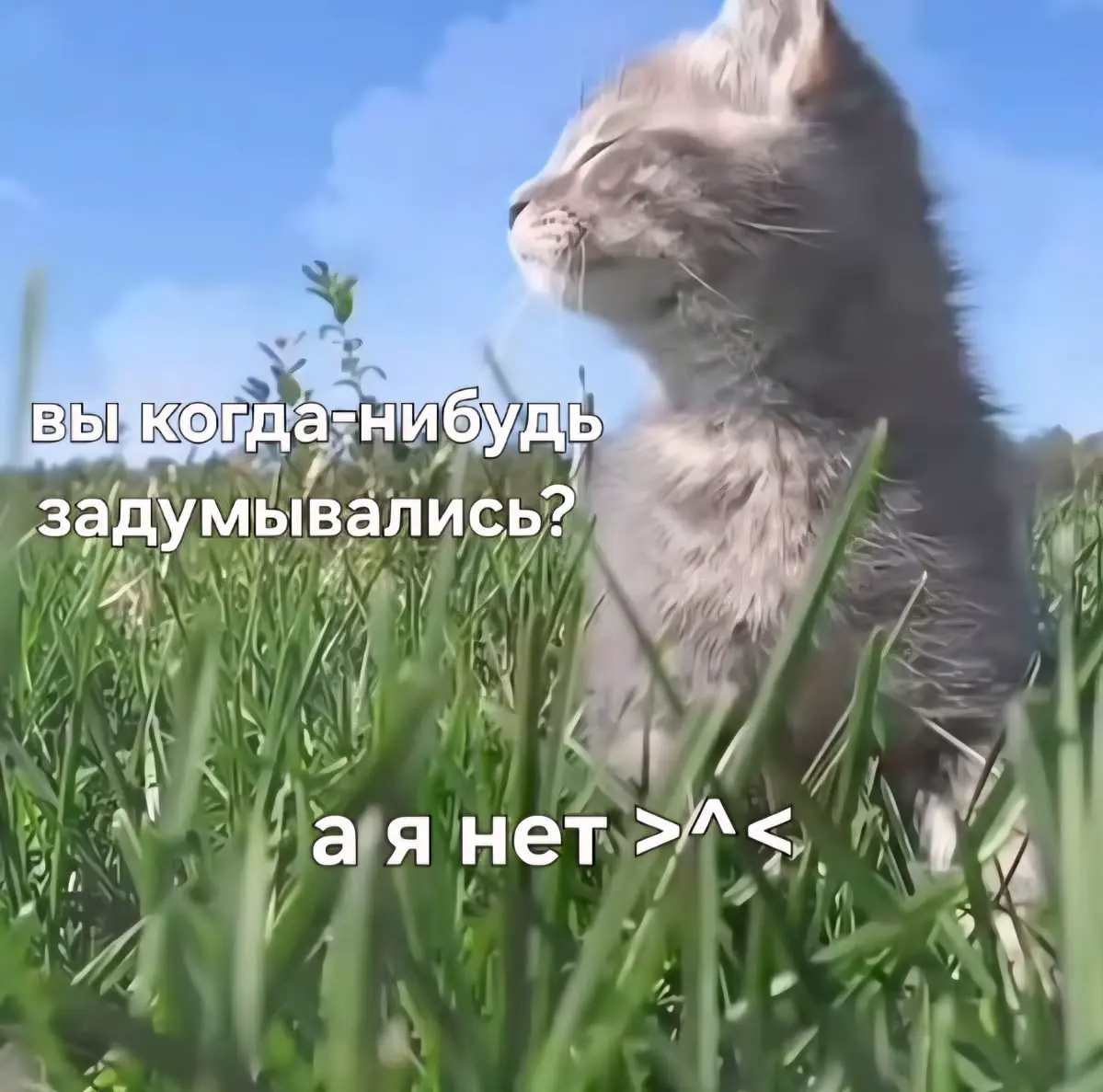 Знаете, чет не ложаться сегодня у меня слова в красивые предложения. Под подозрениями пасмурный день. А может и менее 7 часов сна. Пока расследую это дело | Сетка — социальная сеть от hh.ru