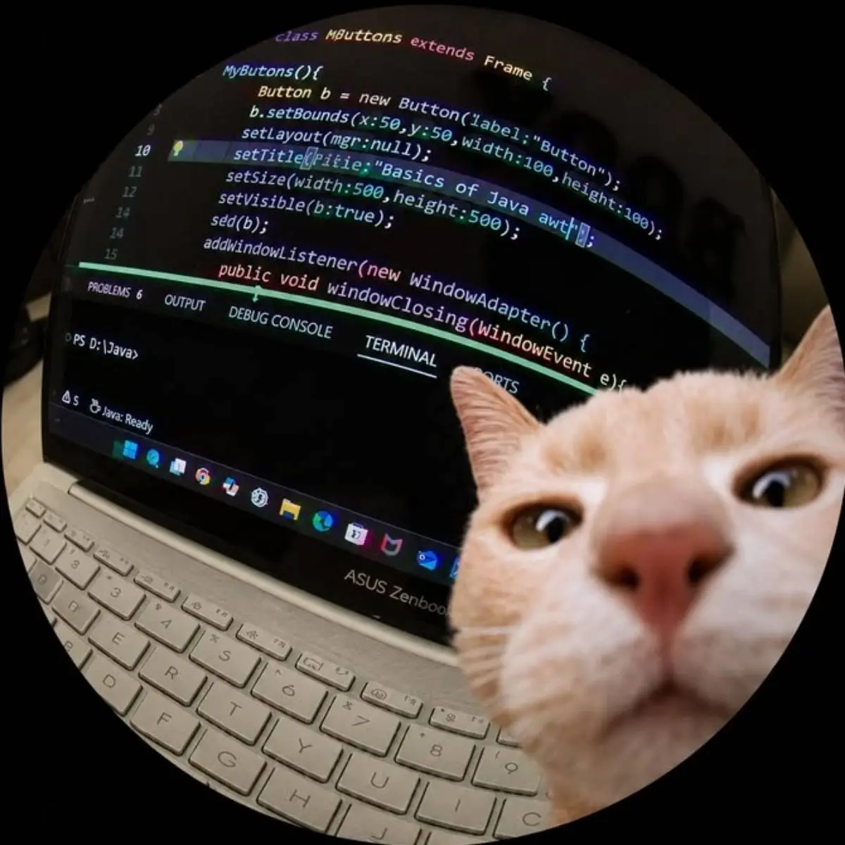 Network member avatar
