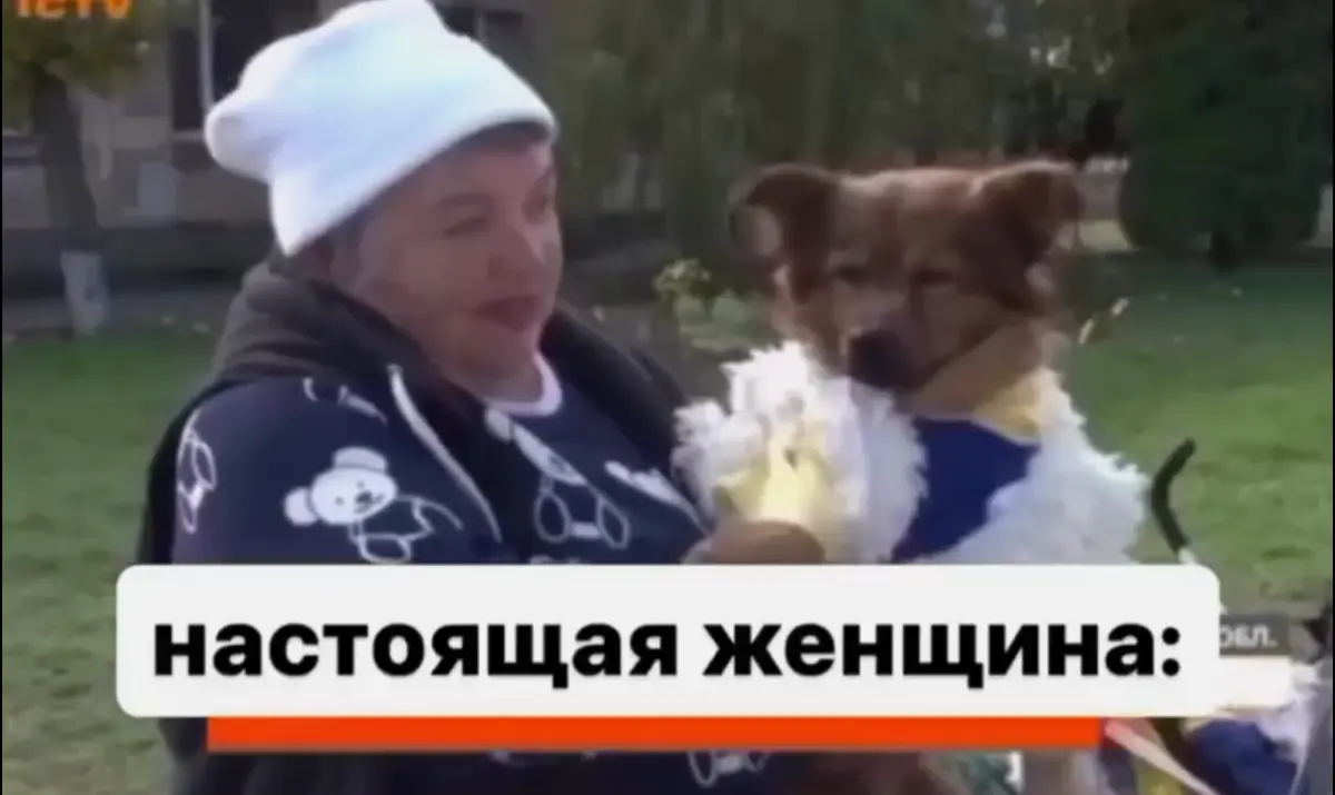 Буду благодарнее больше чем этот пЕс | Сетка — социальная сеть от hh.ru