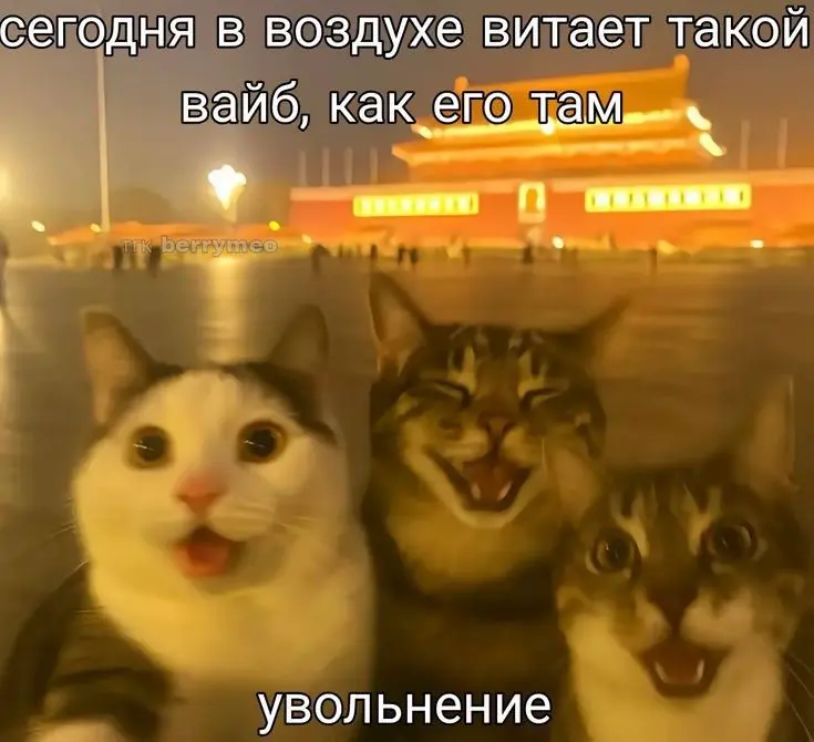 Подборка мемов про рабочие процессы
Сохраняйте, чтобы поделиться с коллегами 😜 | Сетка — социальная сеть от hh.ru
