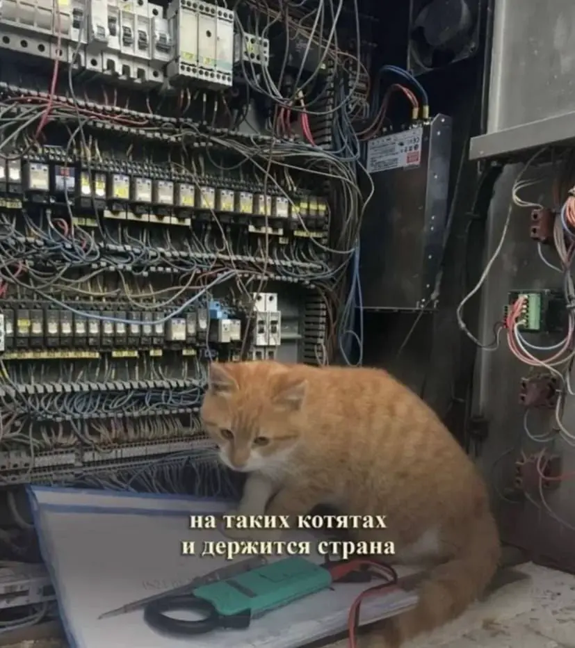 Подборка мемов про рабочие процессы. Сохраняйте, чтобы поделиться с коллегами 😜 | Сетка — социальная сеть от hh.ru
