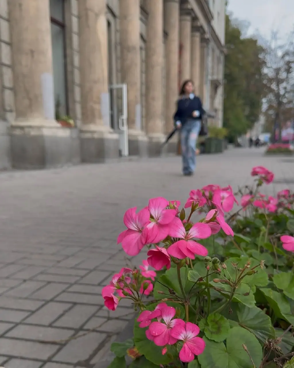Помните, я рассказывала, как мой план улететь в Москву сорвался? Рейс задержали, и я решила не ехать в аэропорт, а вернуть билеты | Сетка — социальная сеть от hh.ru