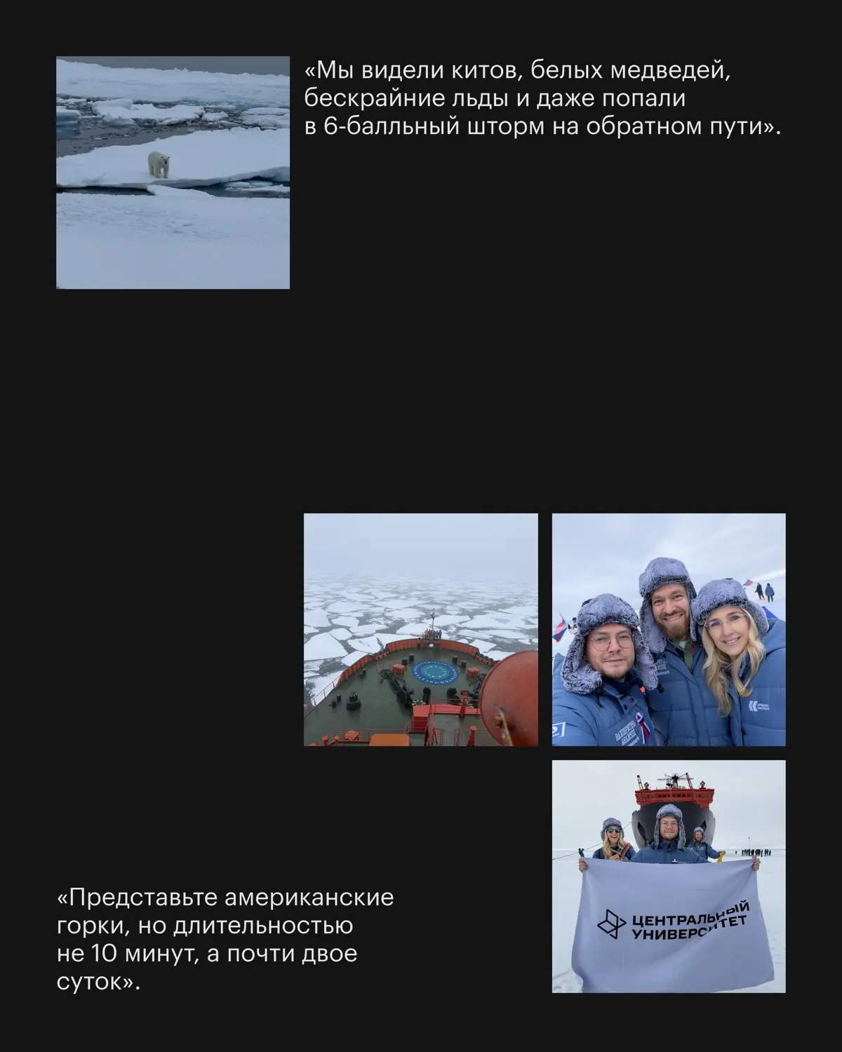 «Мы достигли точки 90° северной широты — географического Северного полюса | Сетка — социальная сеть от hh.ru