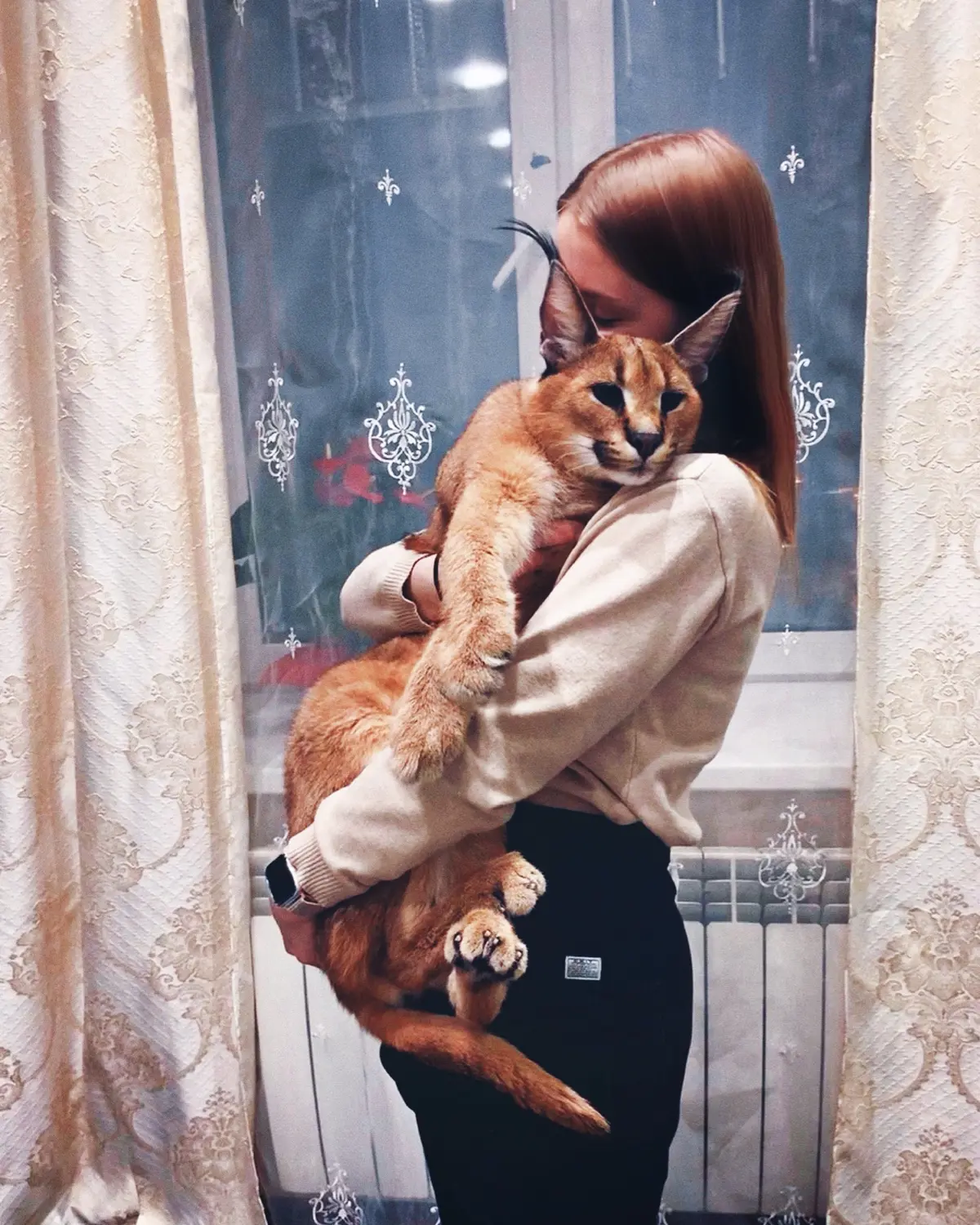 Как это — работать в крупном питомнике СЗФО? Разрушаем мифы. | Сетка — социальная сеть от hh.ru
