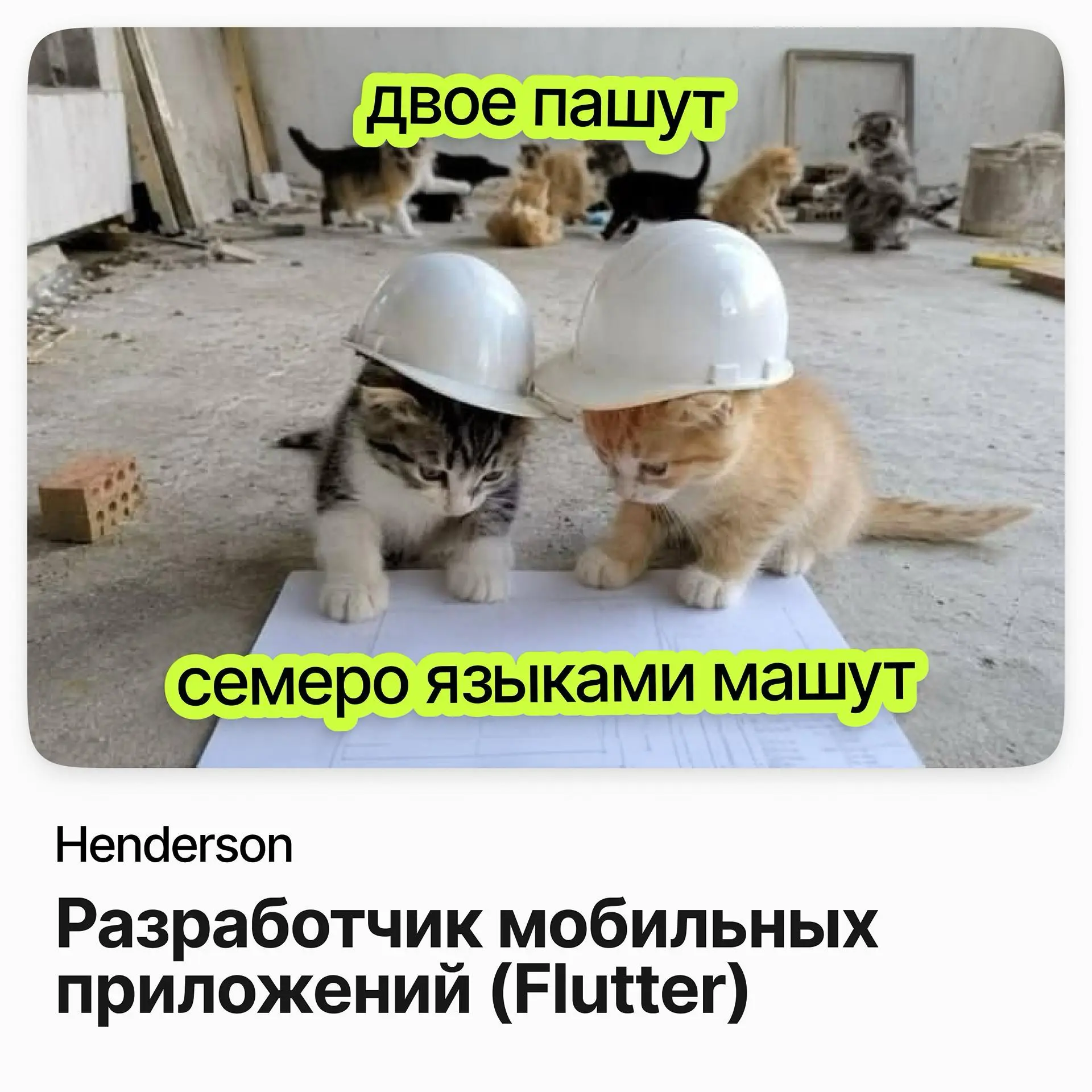📱 Разработчик мобильных приложений (Flutter) / Henderson
Henderson — российский бренд мужской одежды с сетью салонов по стране.
Ищут Flutter-разработчика в команду мобильного приложения Henderson | Сетка — социальная сеть от hh.ru