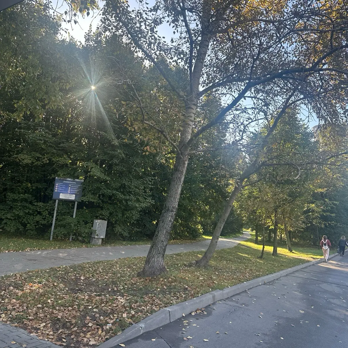 Эсета Ахкильгова