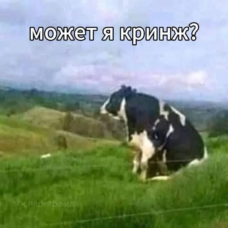 Возможно в этом моя проблема… | Сетка — социальная сеть от hh.ru