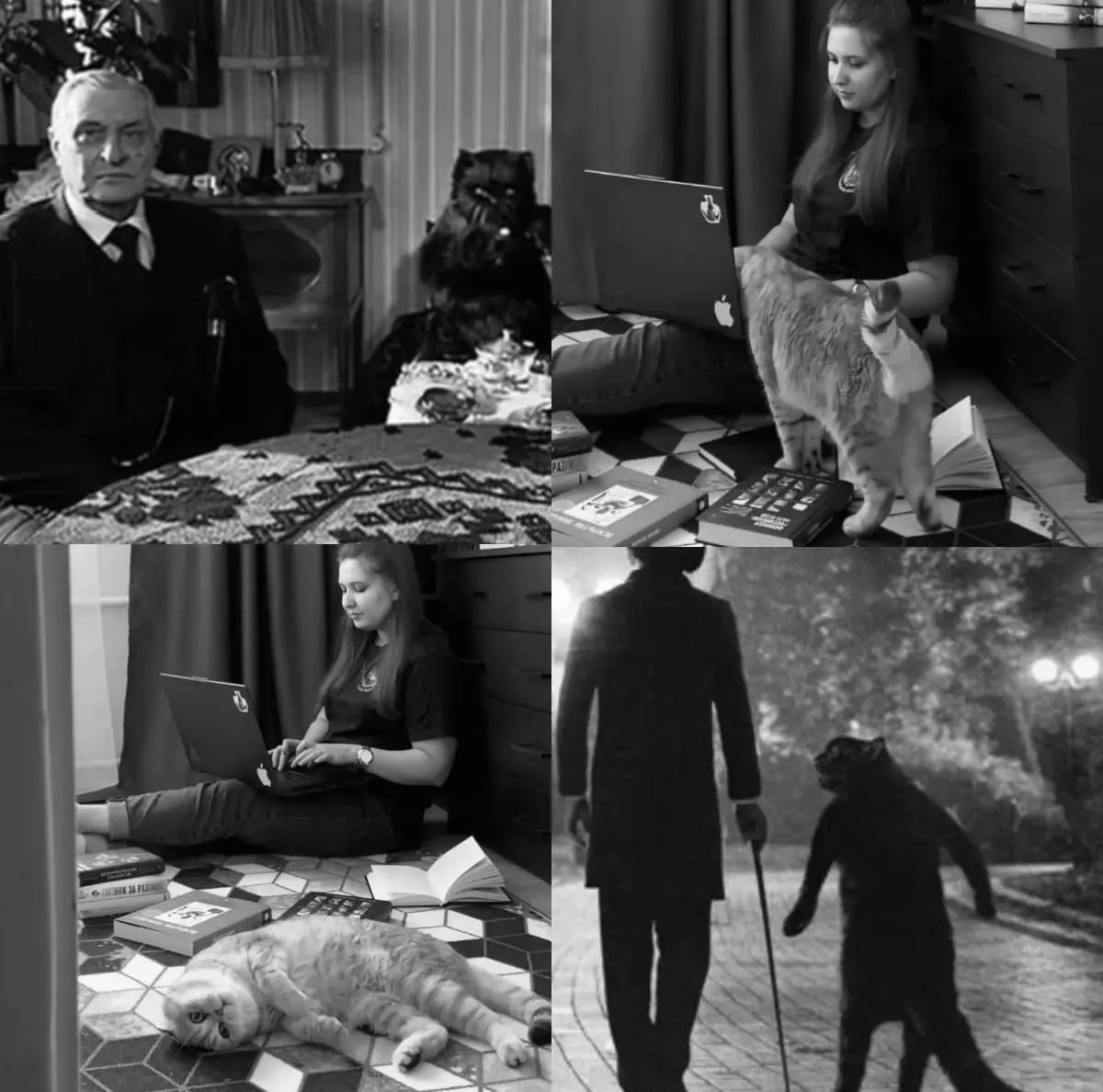 Не шалю, никого не трогаю, починяю примус... и еще считаю долгом предупредить, что кот древнее и неприкосновенное животное. | Сетка — социальная сеть от hh.ru