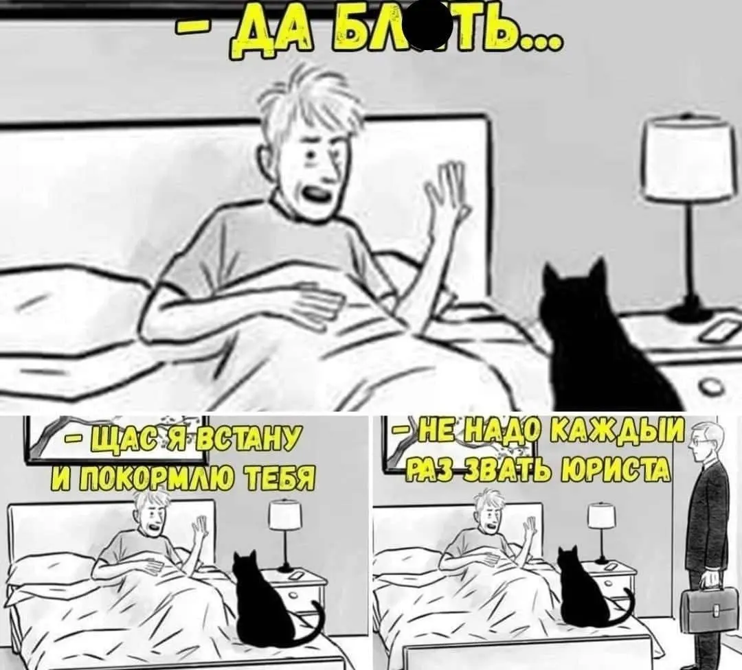 Защищаем свои права правильно 😂
БЛОГ В ТГ / БЛОГ В MAX
#Юмор #Коты
В этом посте были ссылки, но мы их удалили по правилам Сетки | Сетка — социальная сеть от hh.ru
