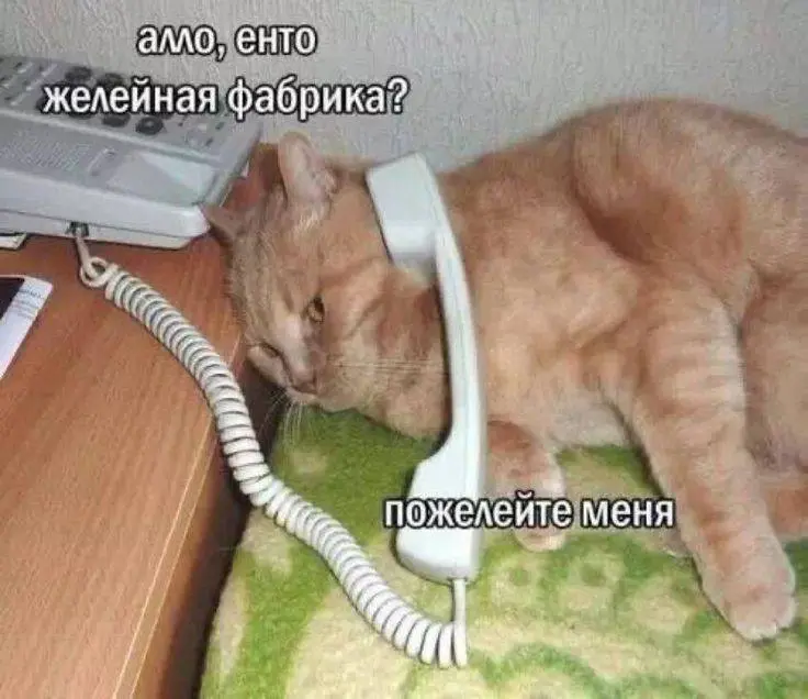 До пятницы чуть-чуть осталось) | Сетка — социальная сеть от hh.ru