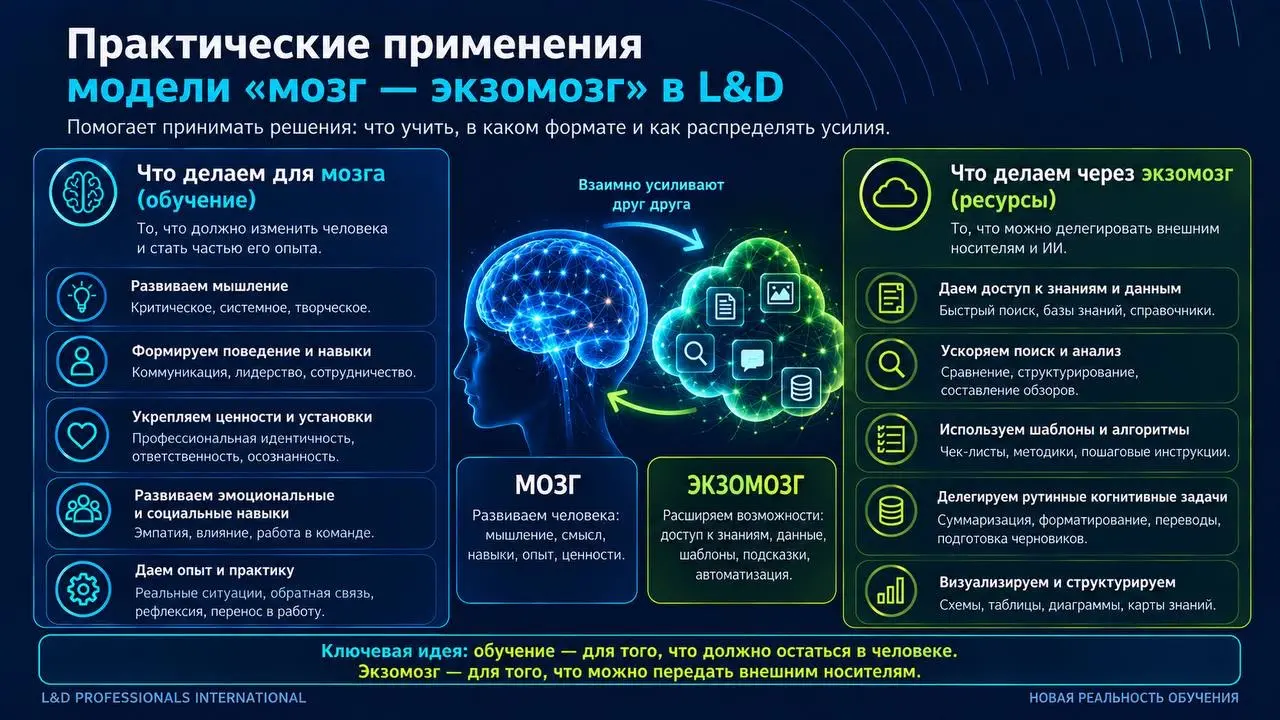 Мозг и экзомозг: что это значит для L&D. | Сетка — социальная сеть от hh.ru