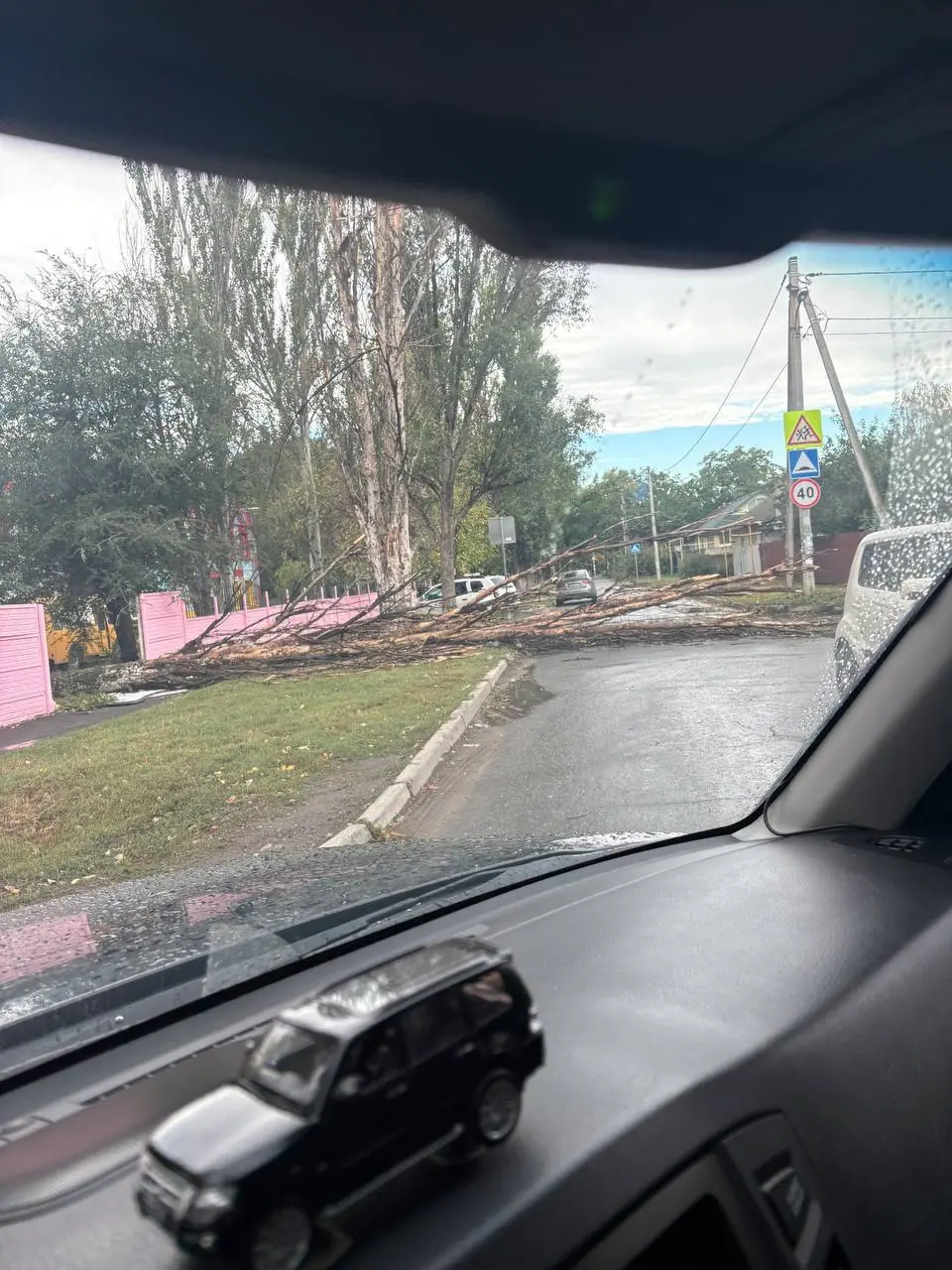 Упало дерево в Калининском районе Донецка на ул. Цусимская | Сетка — социальная сеть от hh.ru