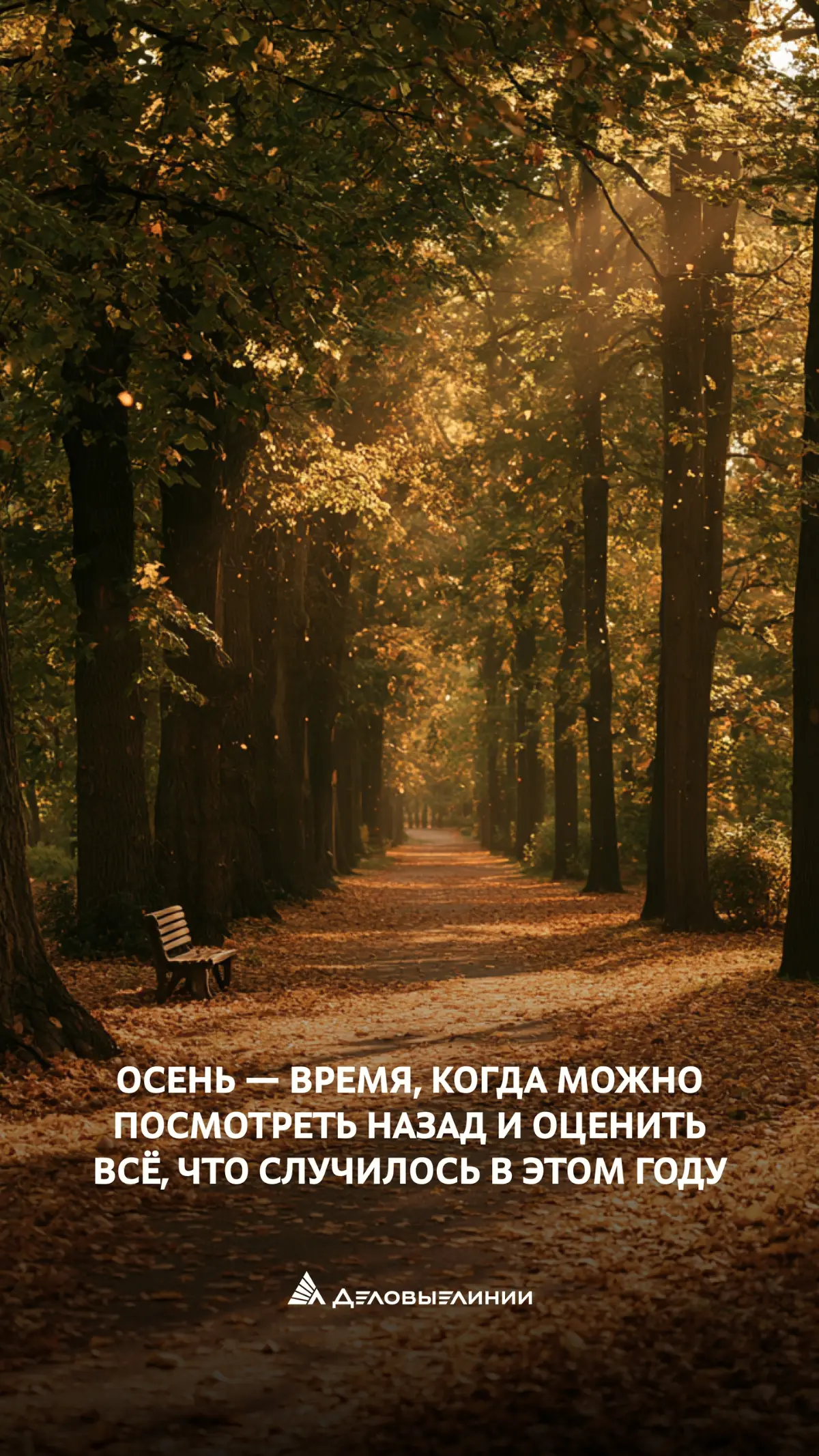 Время обновлений!
Подготовили для вас 6 новых осенних заставок с мотивирующими подписями и символикой «Деловых Линий» 🍁
Каждая — про движение вперёд, про рост, про то, что большие результаты складываю... | Сетка — социальная сеть от hh.ru