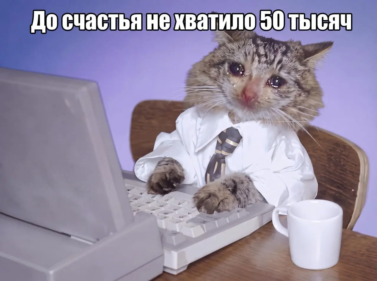 Цена счастья в фарме — 250 тысяч 🧾
«Сколько нужно зарабатывать, чтобы хватало?» — вопрос вечный.
Мы наложили удовлетворенность доходом на сам доход и у 802 анкет нашелся довольно точный ответ | Сетка — социальная сеть от hh.ru
