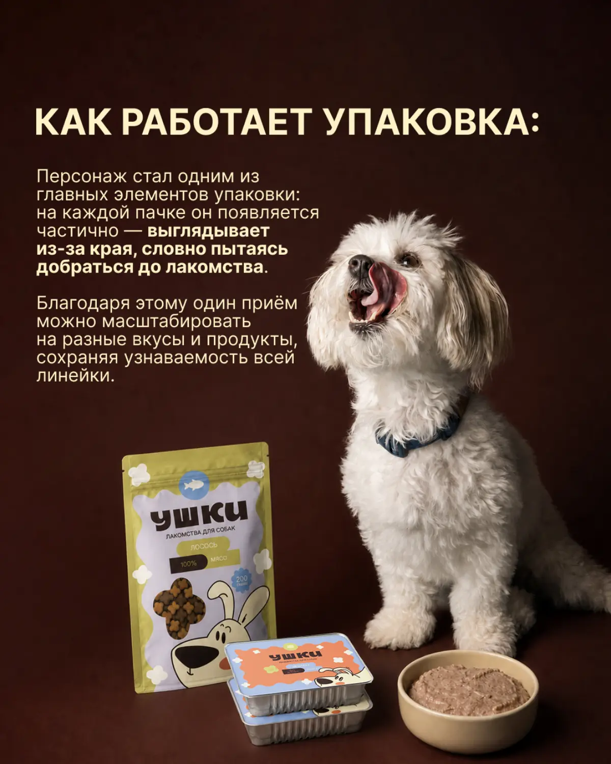 Дизайн бренда лакомств для собак | Сетка — социальная сеть от hh.ru