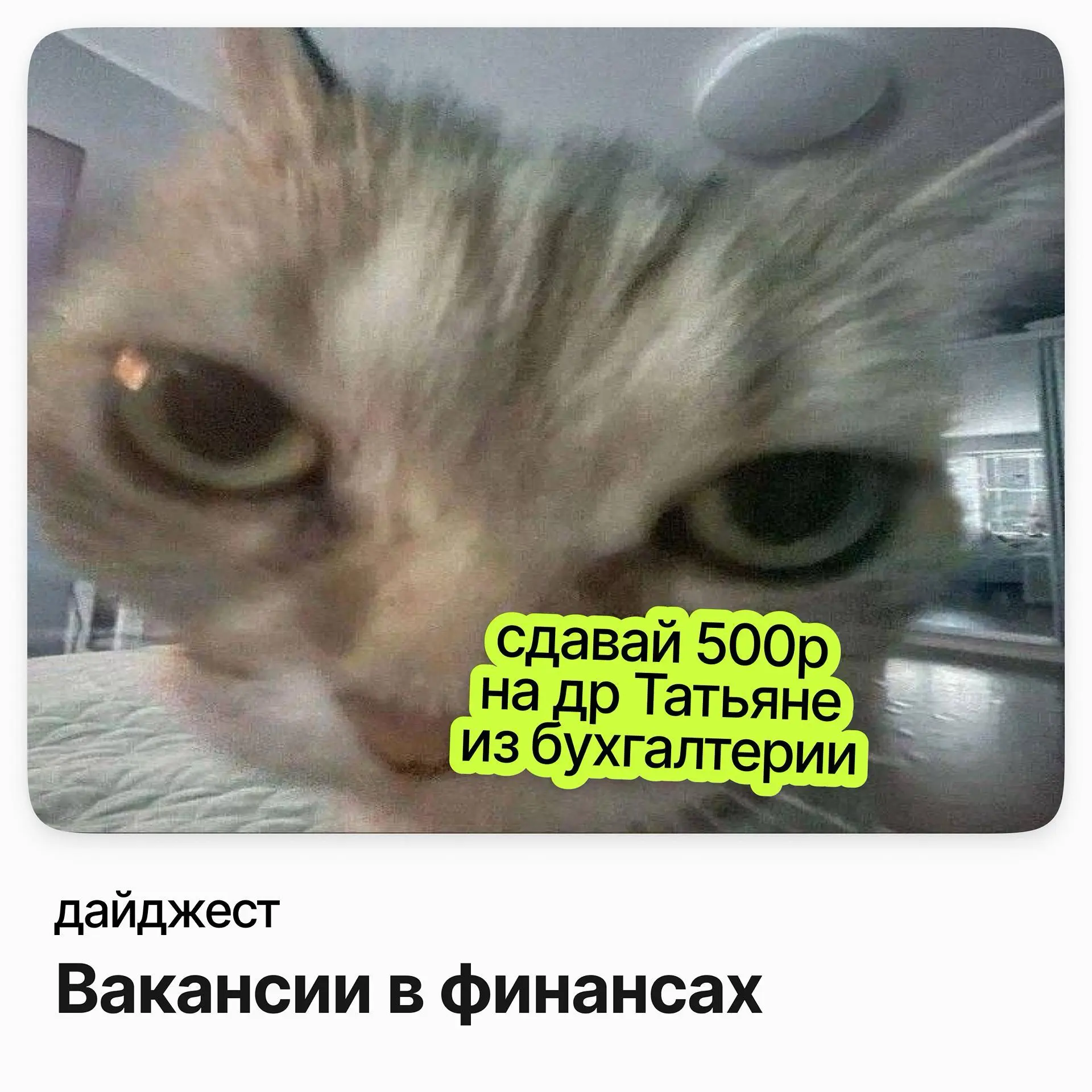 💼💼💼Вакансии в финансах
Старший консультант, корпоративное налогообложение / Kept
Зарплата: до 419 000 ₽ /на руки
Подробнее
Заместитель главного бухгалтера / Кистоун Лоджистикс
Зарплата: от 305 000 ₽ /... | Сетка — социальная сеть от hh.ru