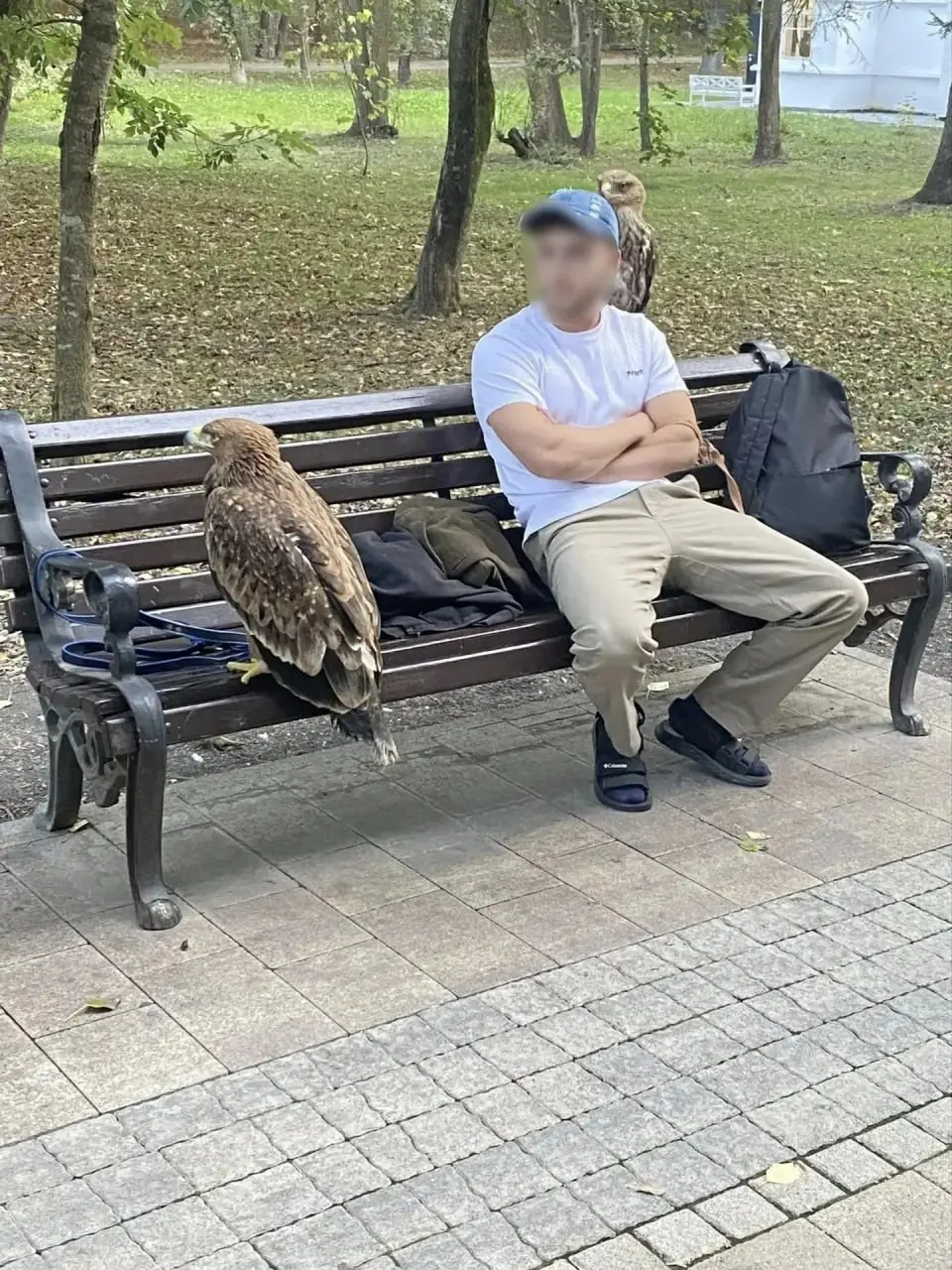 🦅 В Ессентуках у нелегальных фотографов изъяли орлов
В Курортном парке сотрудники задержали людей, которые предлагали посетителям сфотографироваться с хищными птицами | Сетка — социальная сеть от hh.ru
