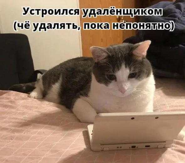 Поиск места для It-стажировки | Сетка — социальная сеть от hh.ru