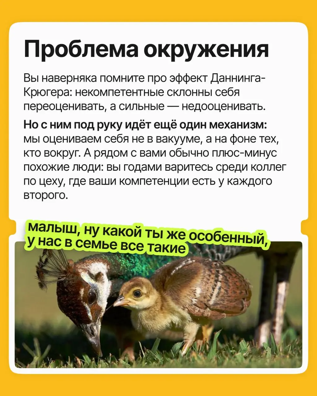 «Да это элементарно, любой бы справился», — говорите вы о том, что даётся вам легче, чем девяти людям из десяти | Сетка — социальная сеть от hh.ru