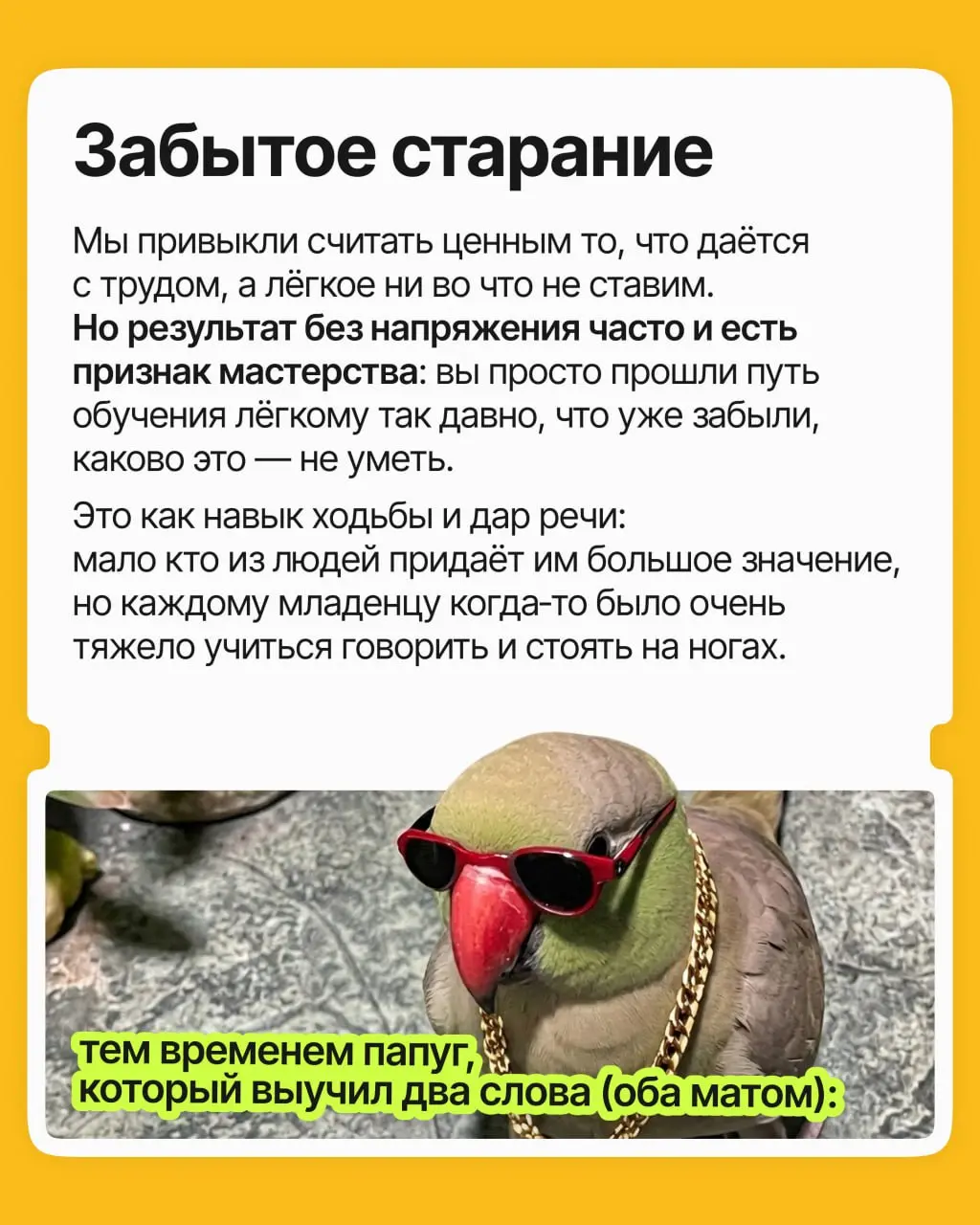 «Да это элементарно, любой бы справился», — говорите вы о том, что даётся вам легче, чем девяти людям из десяти | Сетка — социальная сеть от hh.ru