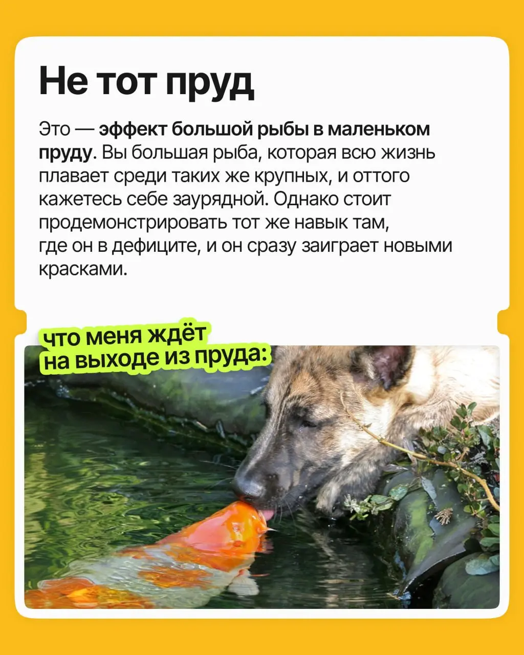 «Да это элементарно, любой бы справился», — говорите вы о том, что даётся вам легче, чем девяти людям из десяти | Сетка — социальная сеть от hh.ru