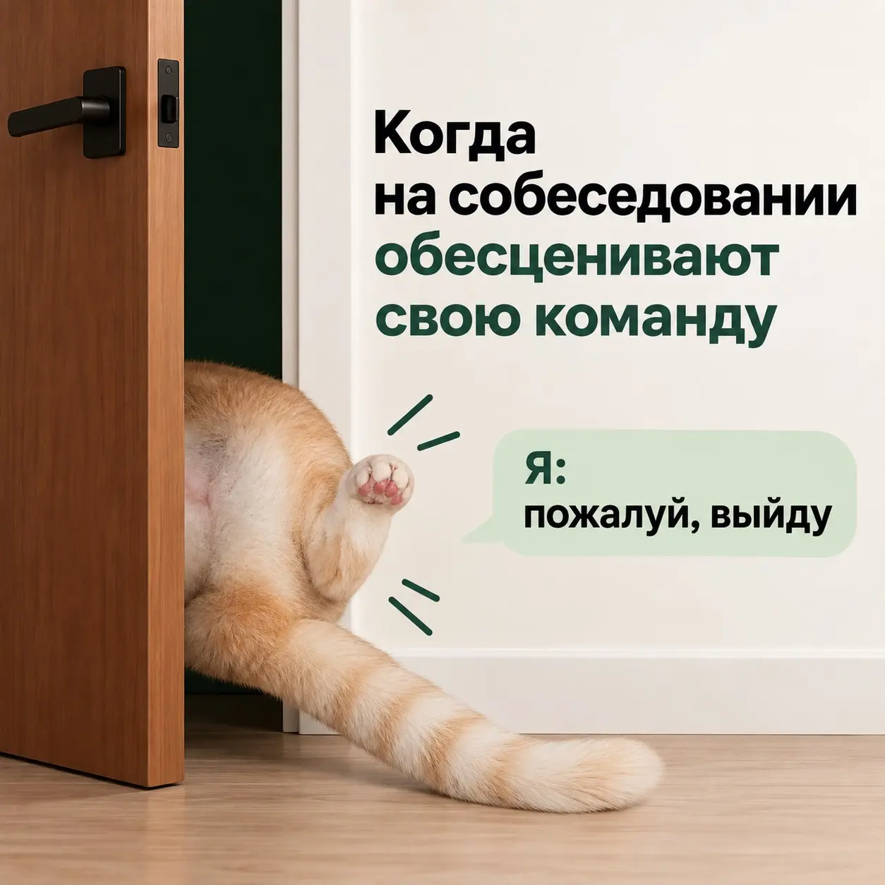 Норм или стрём: обесценивать своих сотрудников на собесе? | Сетка — социальная сеть от hh.ru