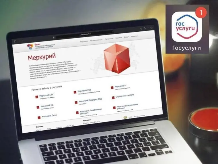 ⚡️ ВетИС ограничивает операции для учетных записей без синхронизации с ЕСИА | Сетка — социальная сеть от hh.ru