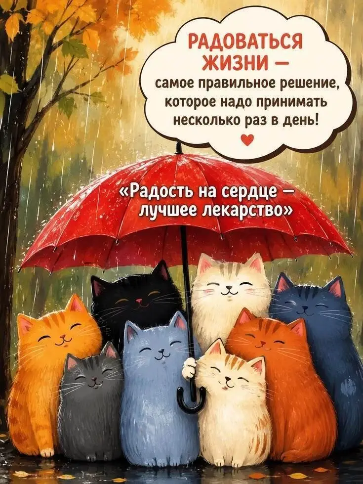 Радоваться жизни | Сетка — социальная сеть от hh.ru