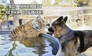 А пока наш кандидат Б скромничает, работодатели добавляют новые ограничения в систему отбора 🥺
Столкнулась с тем, что сейчас у заказчиков дополнительно появляются  собственные системы скоринга кандида... | Сетка — социальная сеть от hh.ru