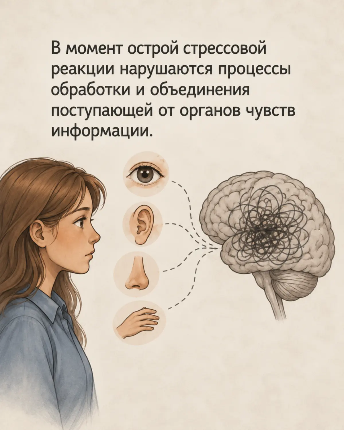 На сессиях мне часто задают вопросы: как работает метод? почему событие не забывается? почему я давно сделал выводы, всё понимаю, а вести себя иначе не могу? что происходит с мозгом?
И человек хочет и... | Сетка — социальная сеть от hh.ru