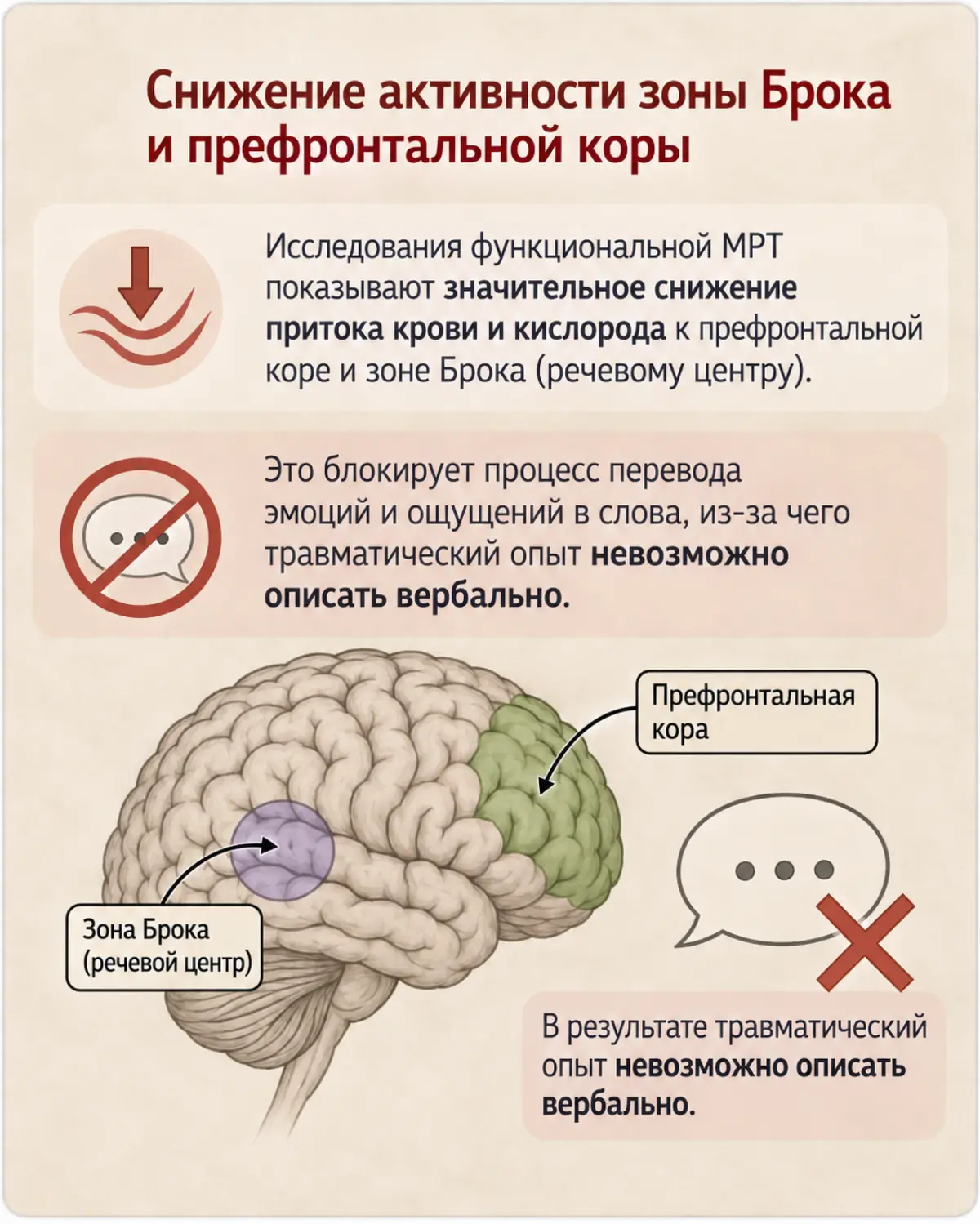 На сессиях мне часто задают вопросы: как работает метод? почему событие не забывается? почему я давно сделал выводы, всё понимаю, а вести себя иначе не могу? что происходит с мозгом?
И человек хочет и... | Сетка — социальная сеть от hh.ru