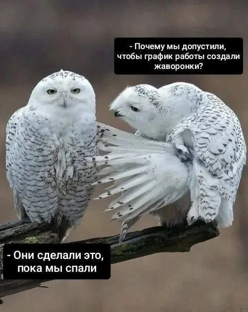 Пока мы спали 😂
БЛОГ В ТГ / БЛОГ В MAX
#Юмор
В этом посте были ссылки, но мы их удалили по правилам Сетки | Сетка — социальная сеть от hh.ru