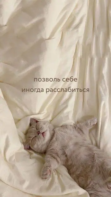 Помним про баланс☺️ | Сетка — социальная сеть от hh.ru